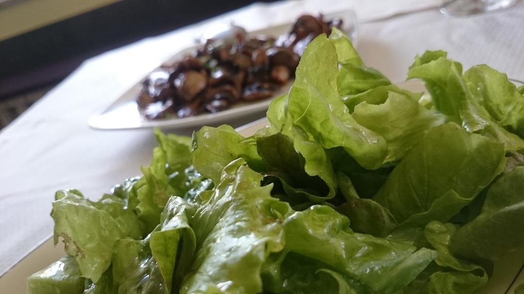 Becerreá 卡萨蕙旅馆酒店 外观 照片